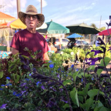 vendor-jim-mizell-amongst-the-flowers-220x220.jpg